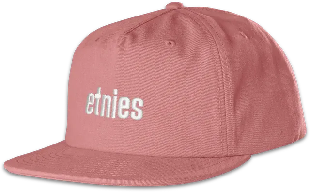 etnies-icon-embroidery-snapback-cap-pink image 1