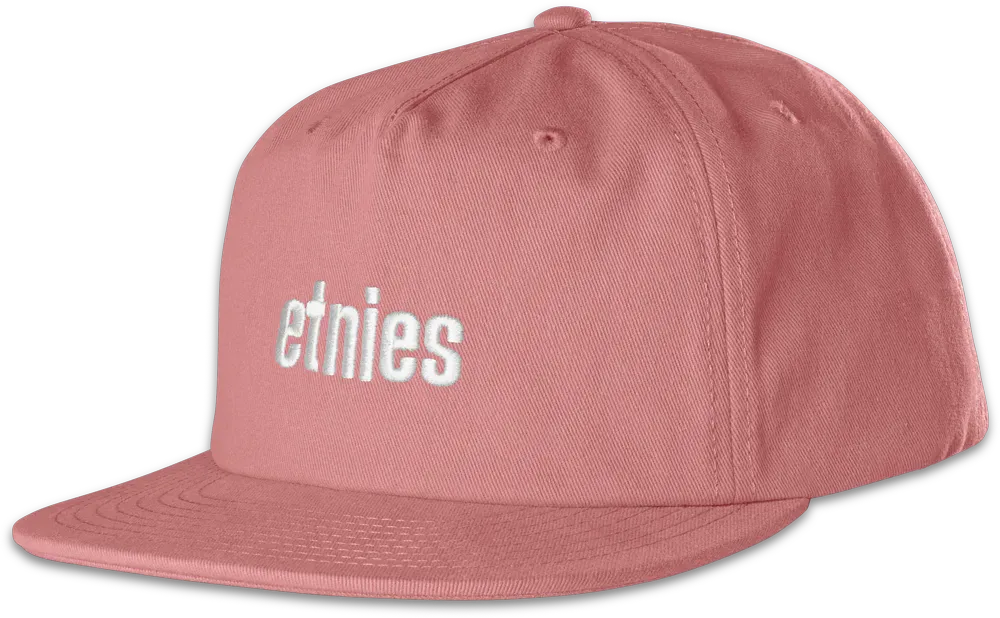 etnies-icon-embroidery-snapback-cap-pink image 1