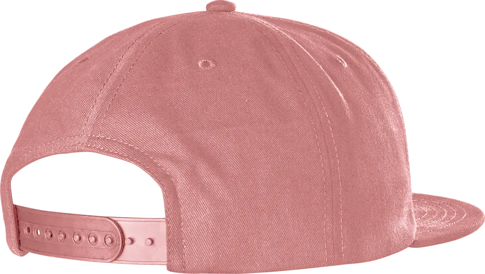 etnies-icon-embroidery-snapback-cap-pink image 2