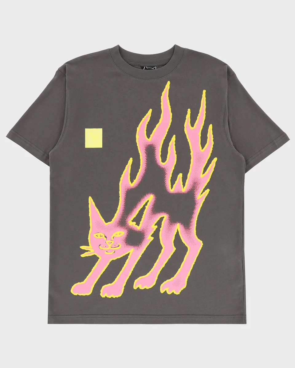 lakai-x-ripndip-pink-flame-ss-t-shirt-grau-pink image 1